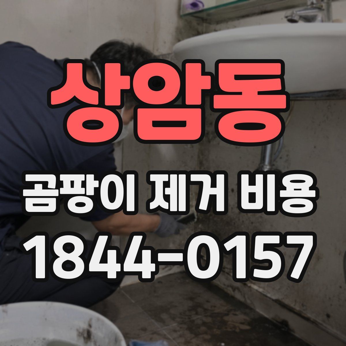 상암동 곰팡이 제거 비용