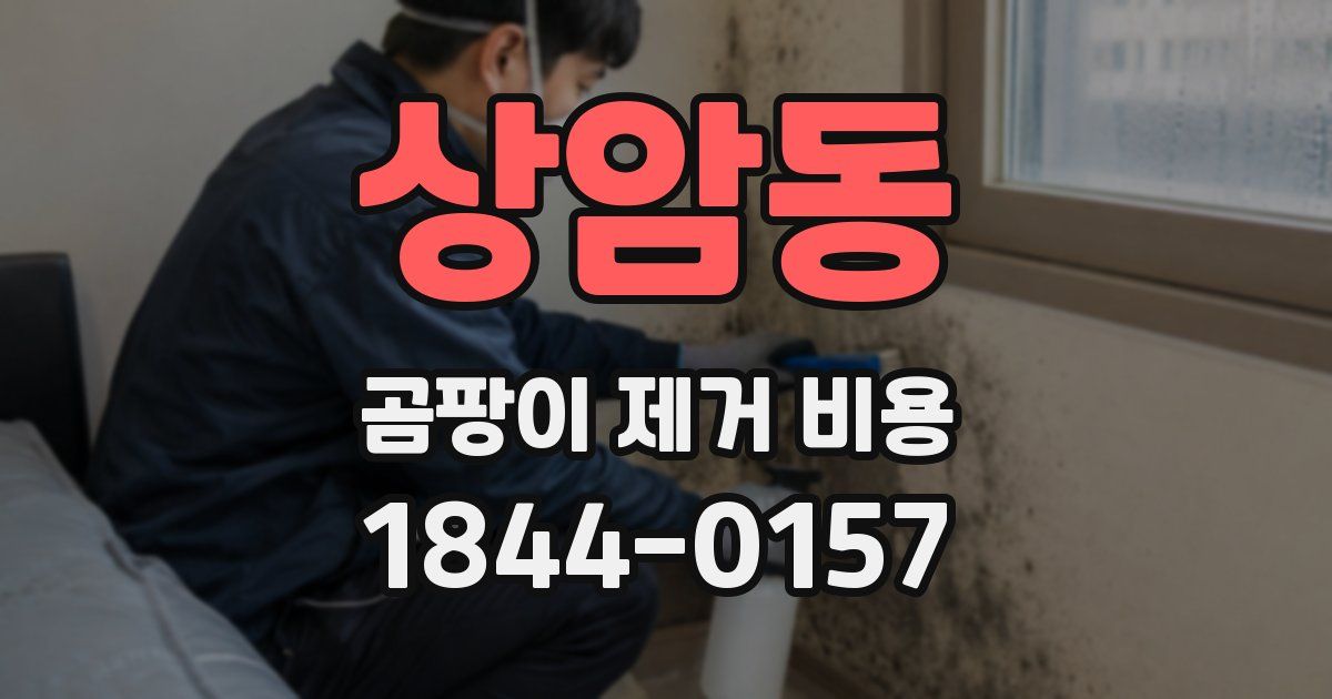 상암동 곰팡이 제거 비용