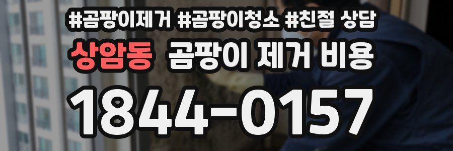 상암동 곰팡이 제거 비용