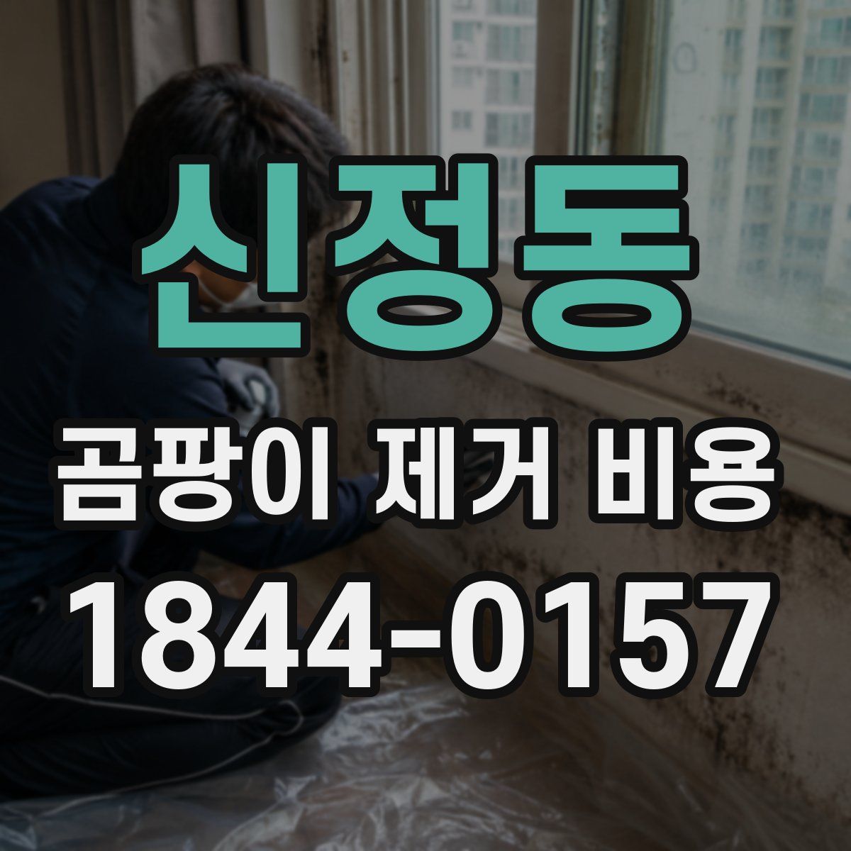 신정동 곰팡이 제거 비용