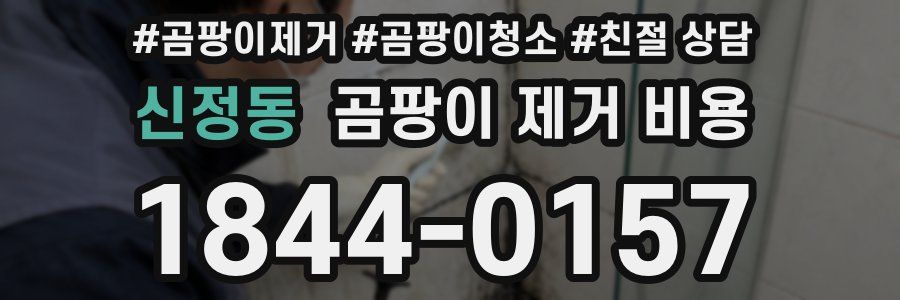 신정동 곰팡이 제거 비용