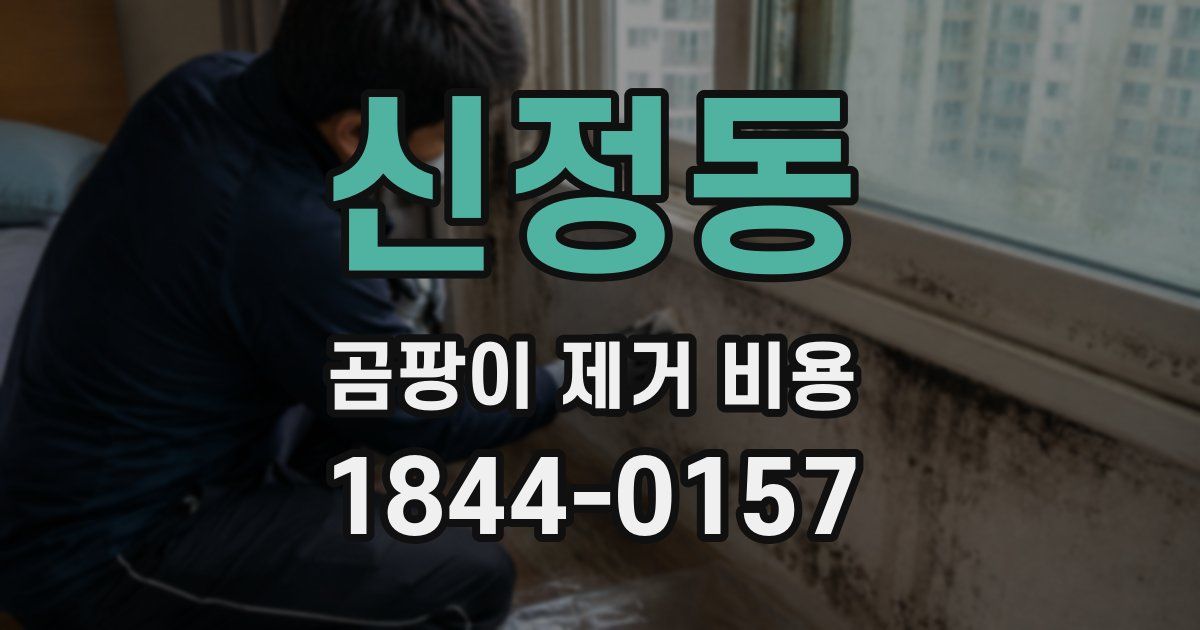신정동 곰팡이 제거 비용