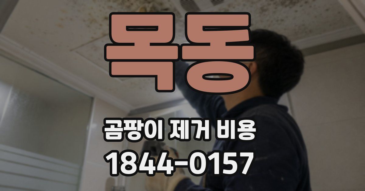 목동 곰팡이 제거 비용