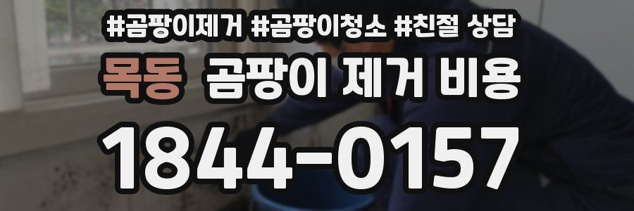 목동 곰팡이 제거 비용