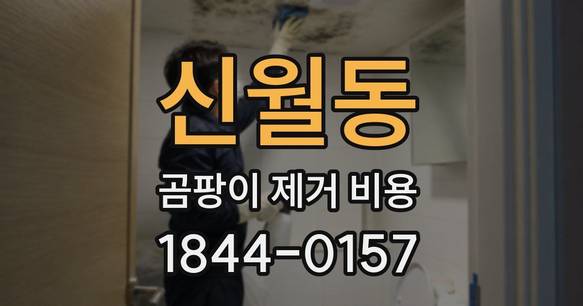 신월동 곰팡이 제거 비용
