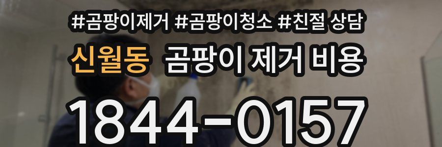 신월동 곰팡이 제거 비용