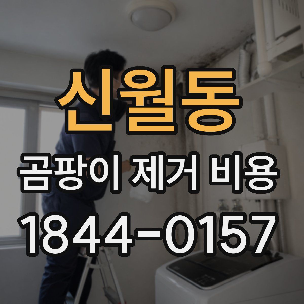 신월동 곰팡이 제거 비용