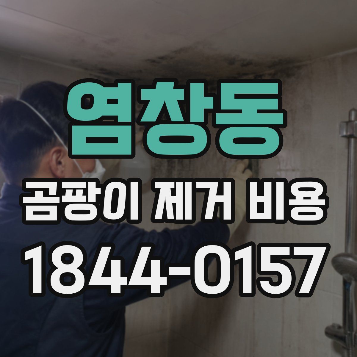 염창동 곰팡이 제거 비용