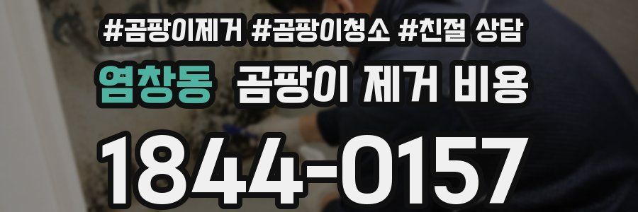 염창동 곰팡이 제거 비용