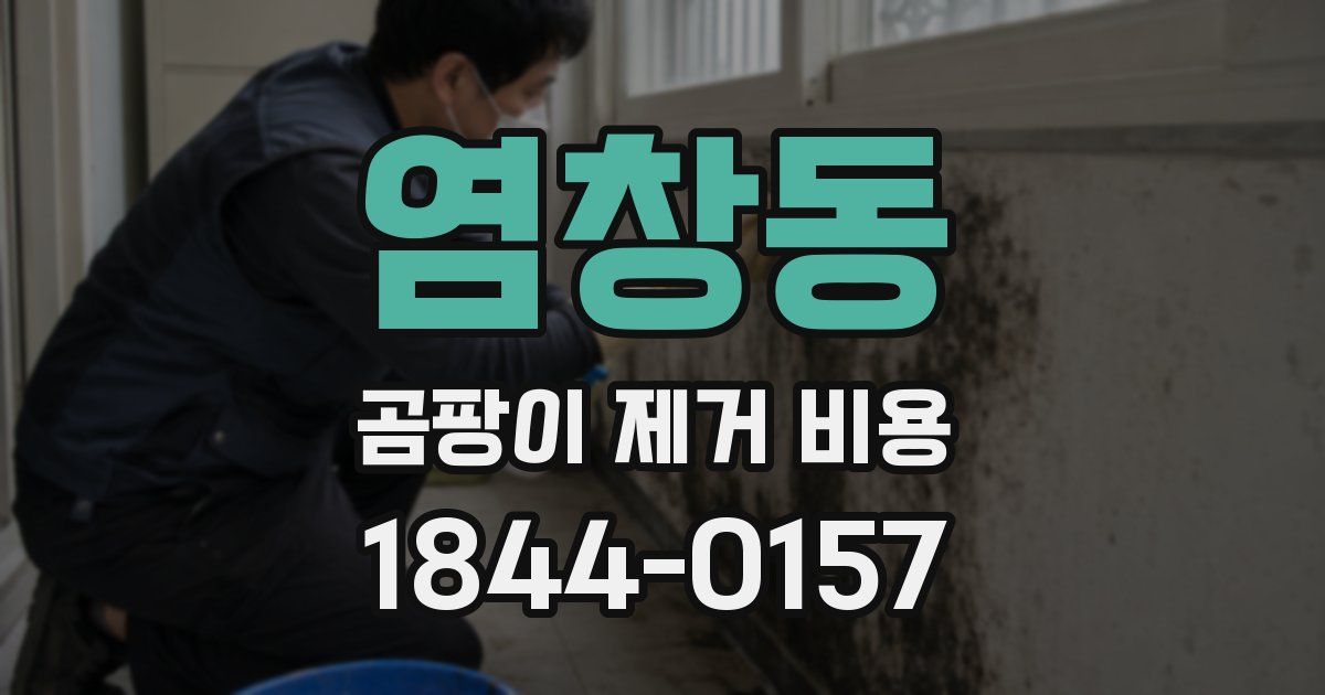 염창동 곰팡이 제거 비용