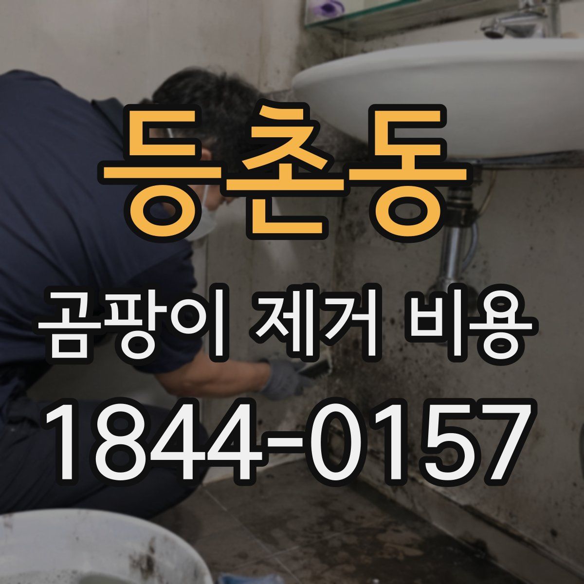 등촌동 곰팡이 제거 비용