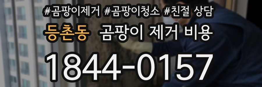 등촌동 곰팡이 제거 비용