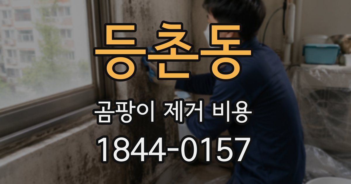 등촌동 곰팡이 제거 비용