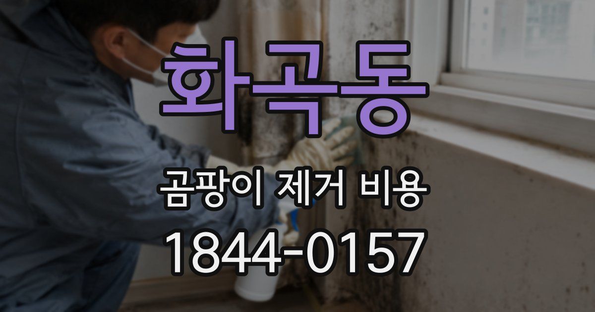 화곡동 곰팡이 제거 비용