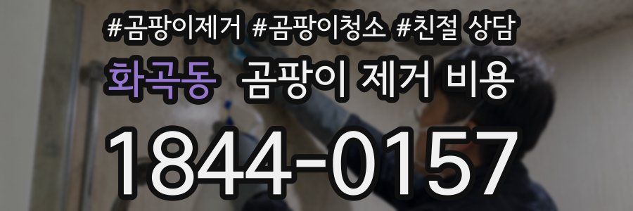 화곡동 곰팡이 제거 비용
