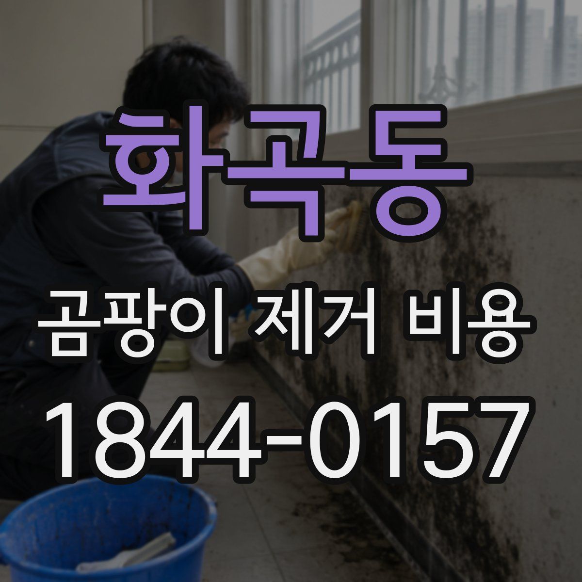 화곡동 곰팡이 제거 비용