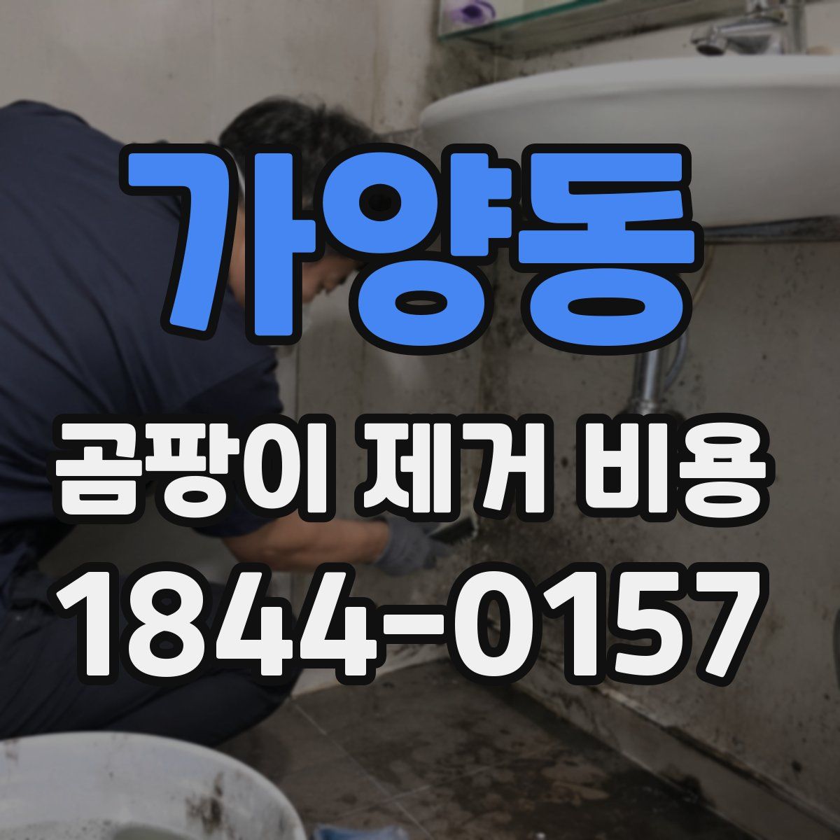 가양동 곰팡이 제거 비용