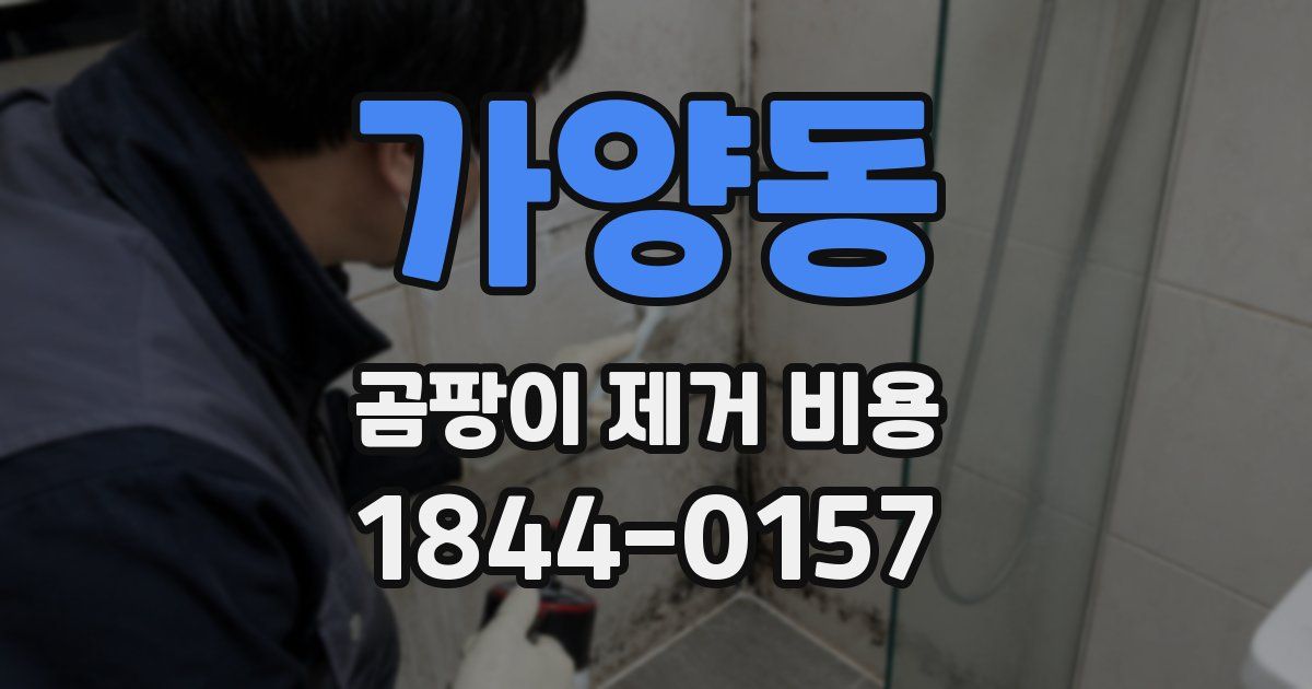 가양동 곰팡이 제거 비용