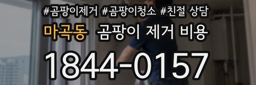 마곡동 곰팡이 제거 비용
