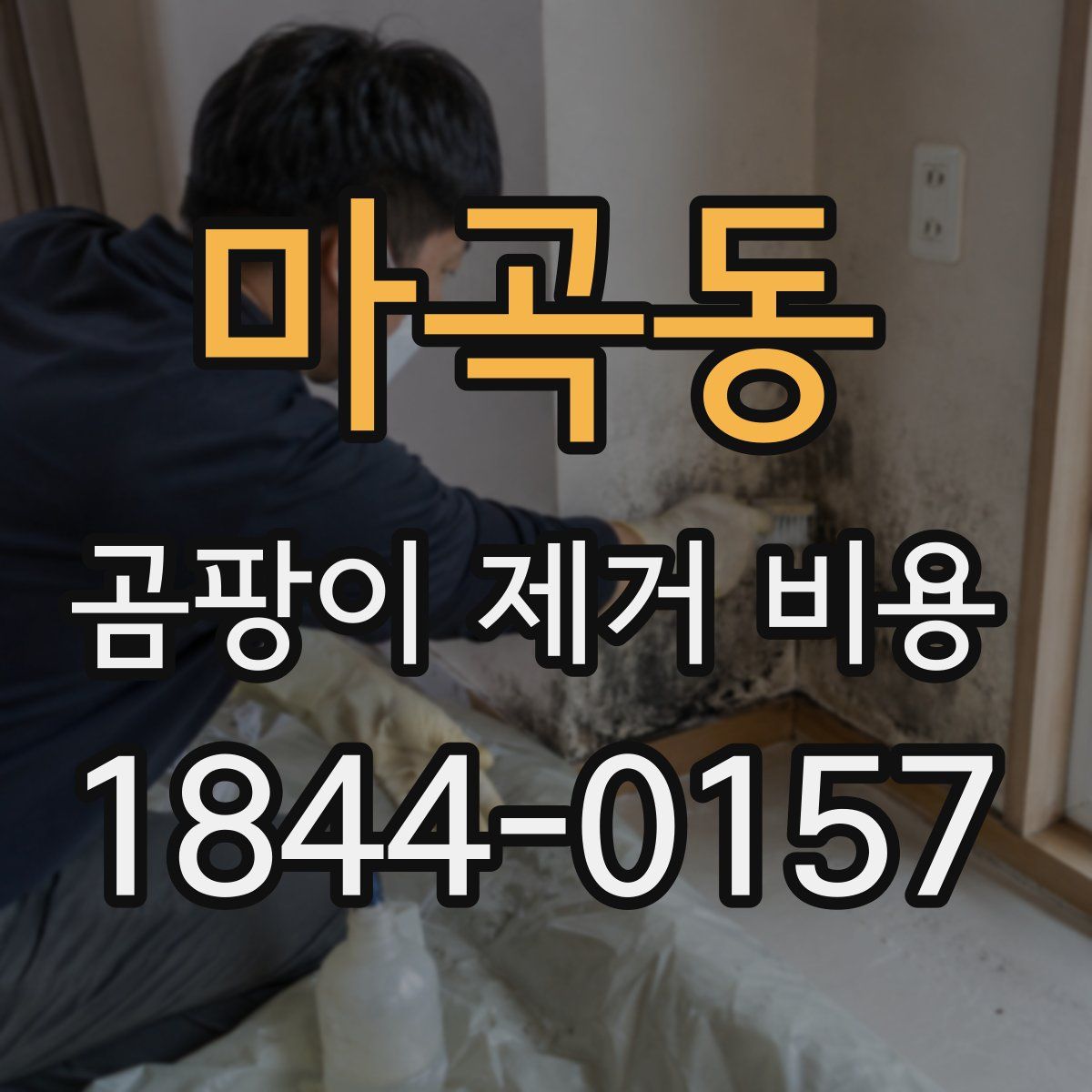 마곡동 곰팡이 제거 비용