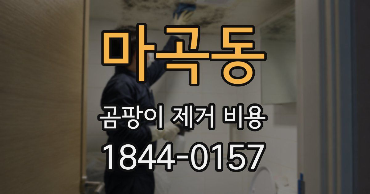 마곡동 곰팡이 제거 비용