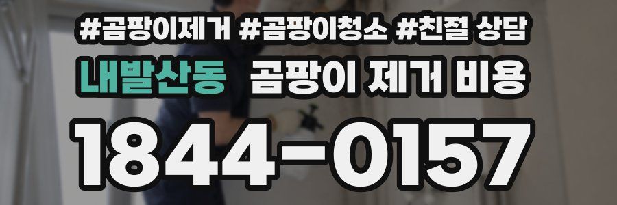 내발산동 곰팡이 제거 비용