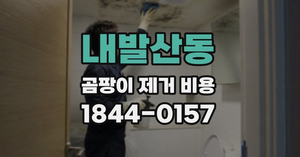 내발산동 곰팡이 제거 비용