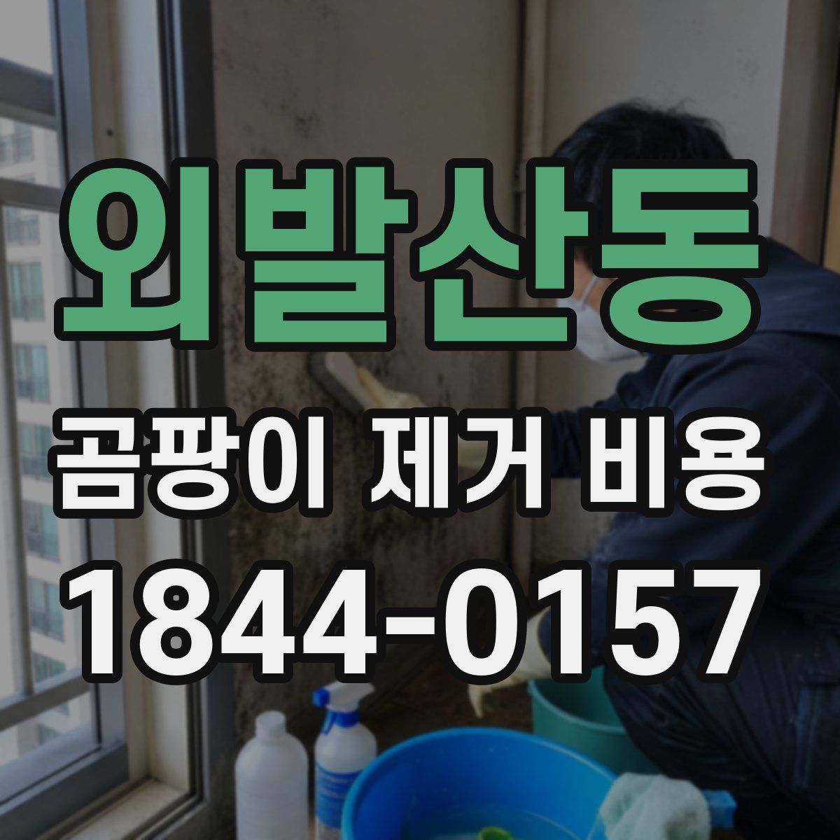 외발산동 곰팡이 제거 비용