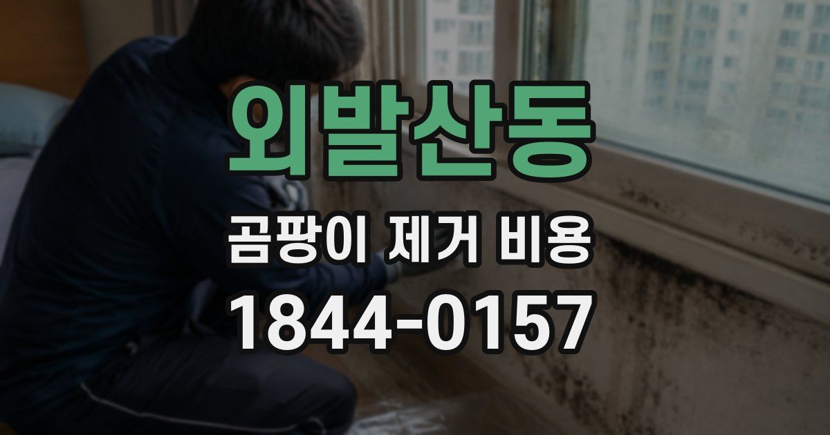 외발산동 곰팡이 제거 비용