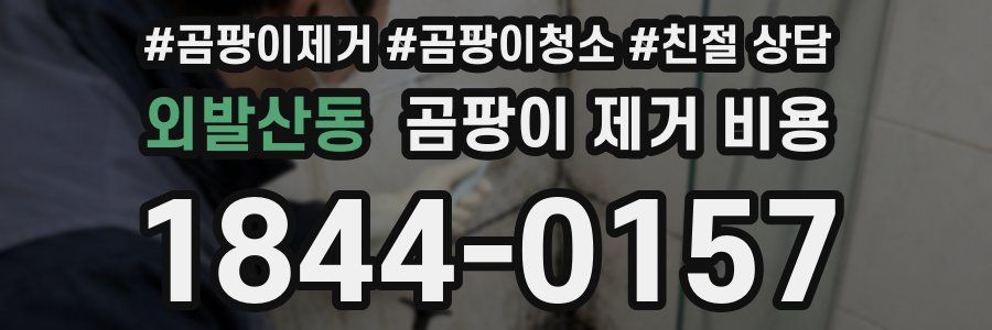 외발산동 곰팡이 제거 비용