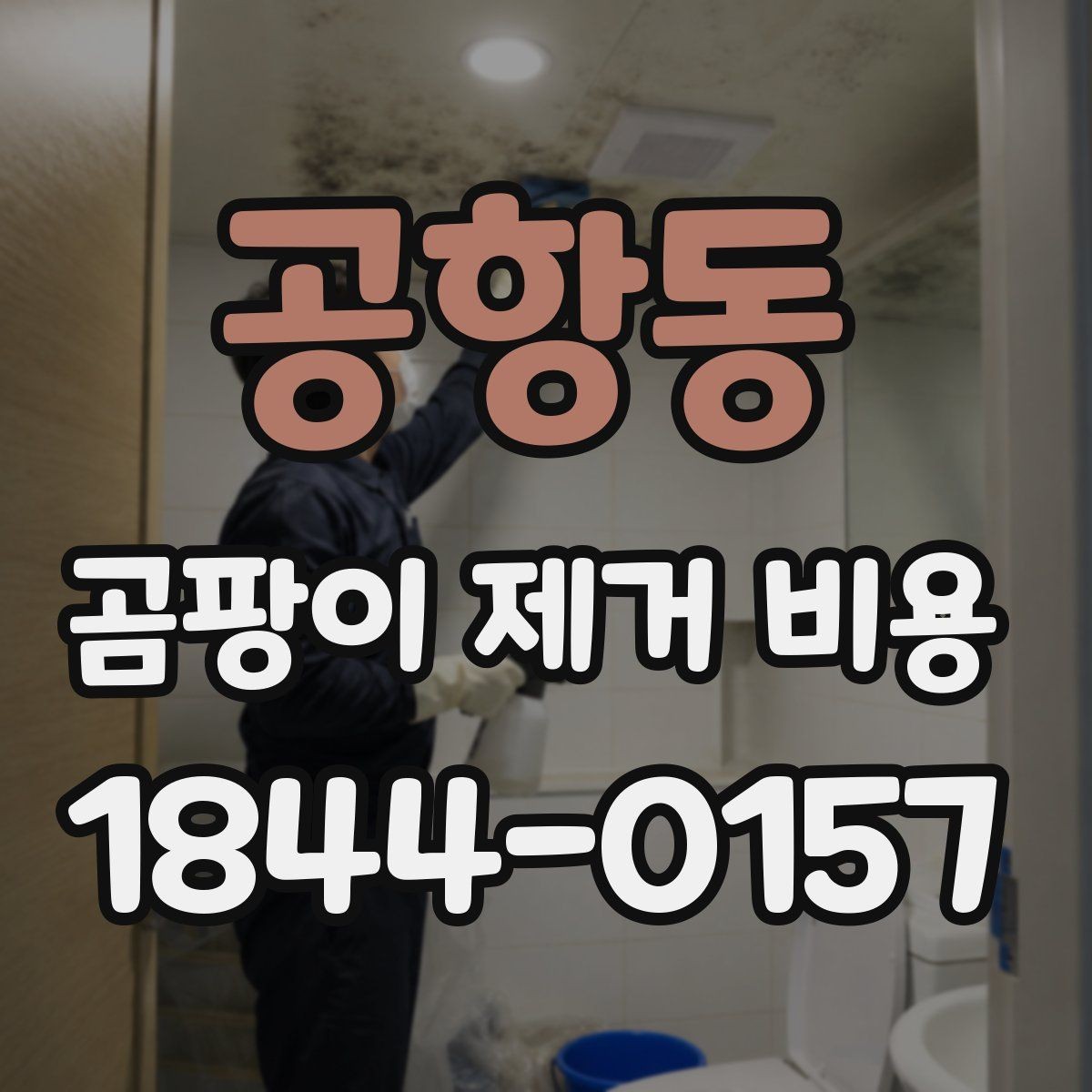 공항동 곰팡이 제거 비용 계산에 영향을 주는 요소들