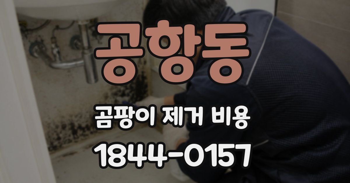 공항동 곰팡이 제거 비용
