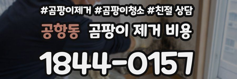공항동 곰팡이 제거 비용