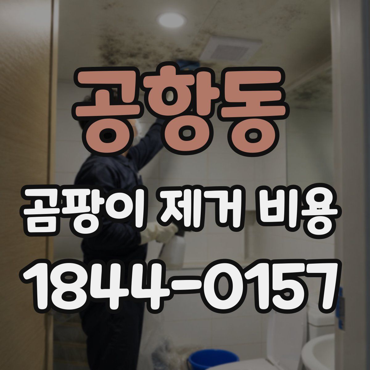 공항동 곰팡이 제거 비용