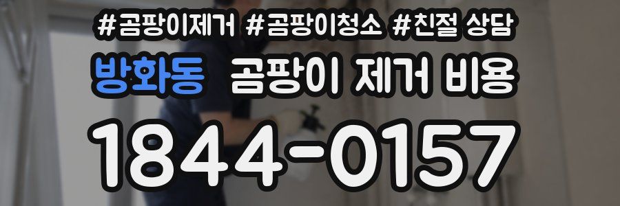 방화동 곰팡이 제거 비용