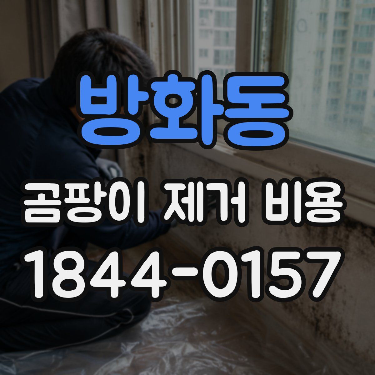 방화동 곰팡이 제거 비용