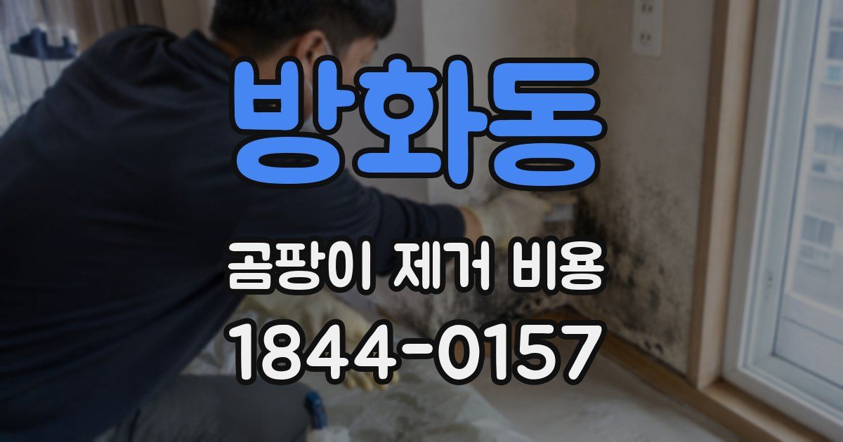 방화동 곰팡이 제거 비용