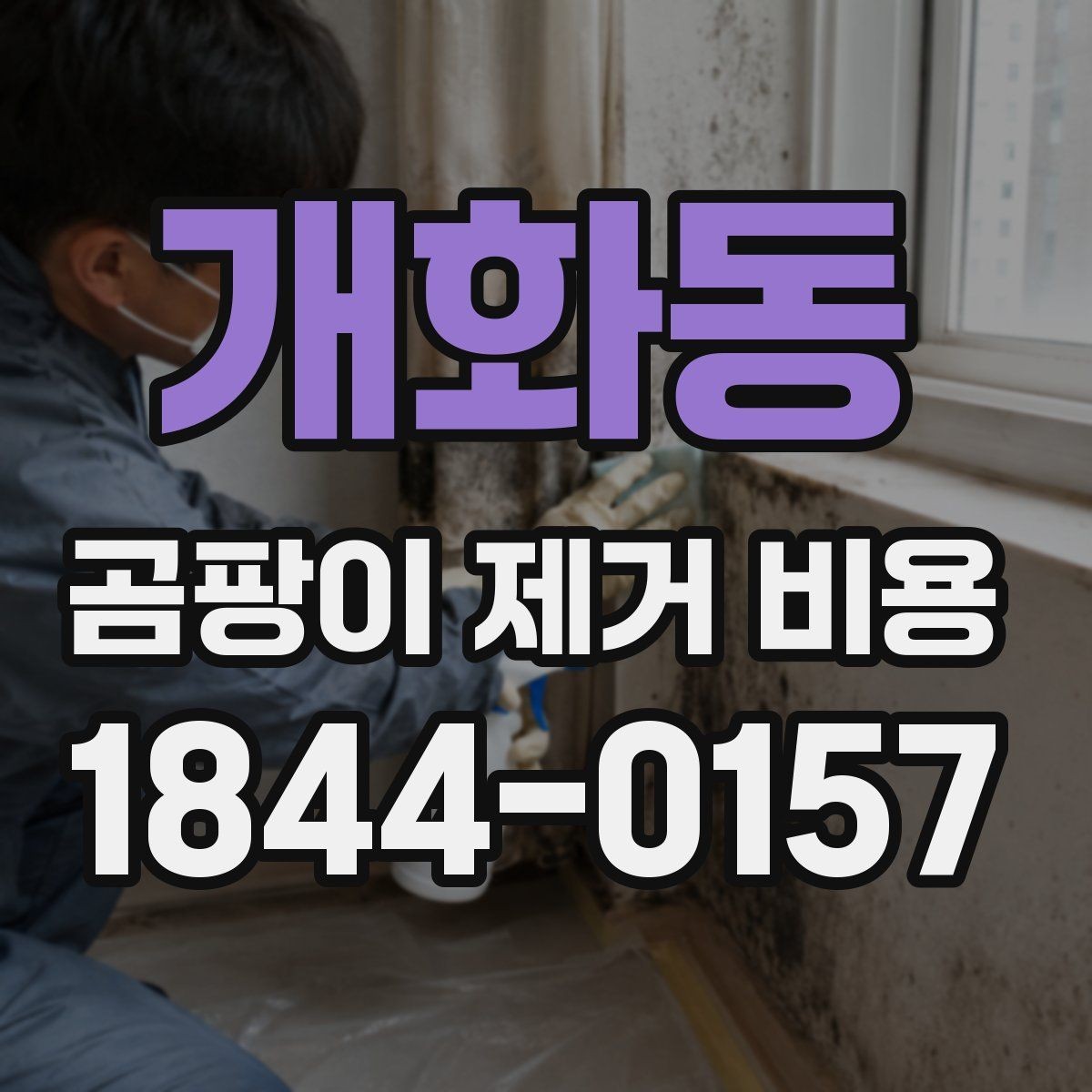 개화동 곰팡이 제거 비용 주변 시세를 살펴보는 방법