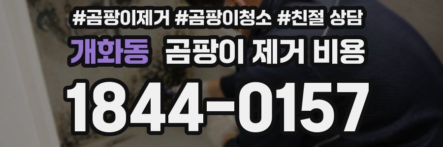 개화동 곰팡이 제거 비용