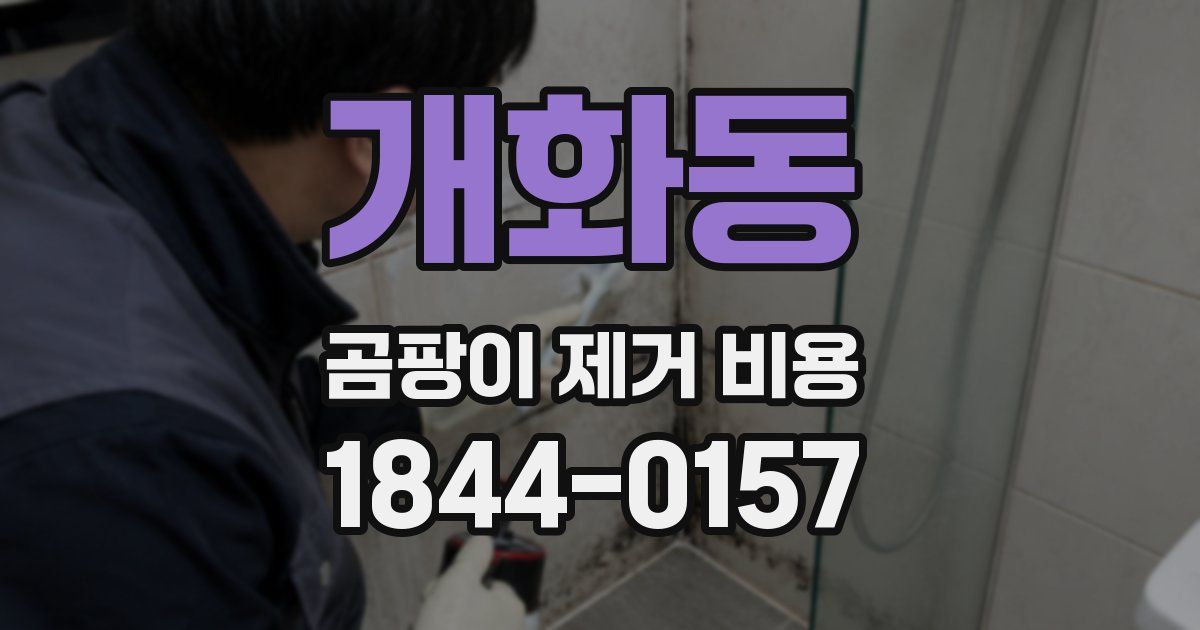 개화동 곰팡이 제거 비용
