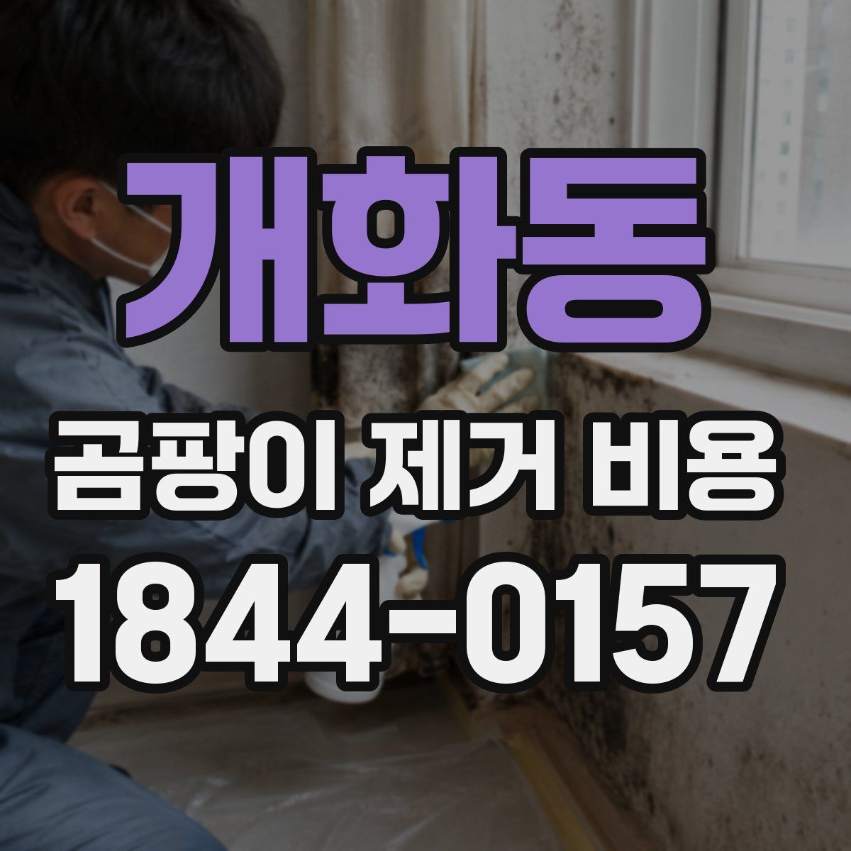 개화동 곰팡이 제거 비용