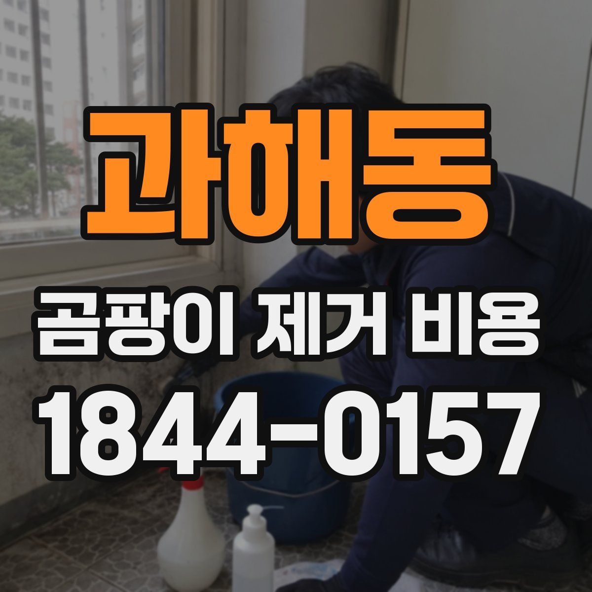 과해동 곰팡이 제거 비용
