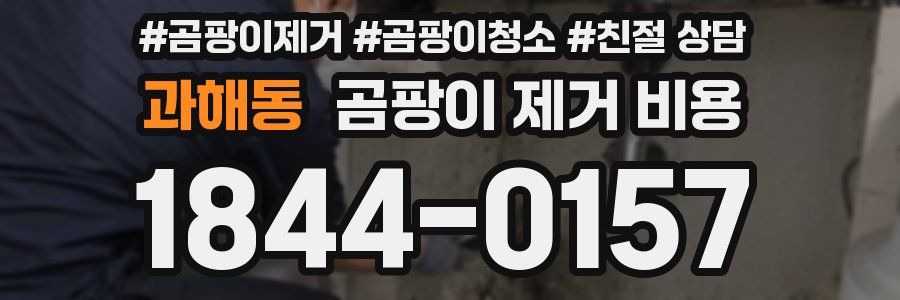 과해동 곰팡이 제거 비용