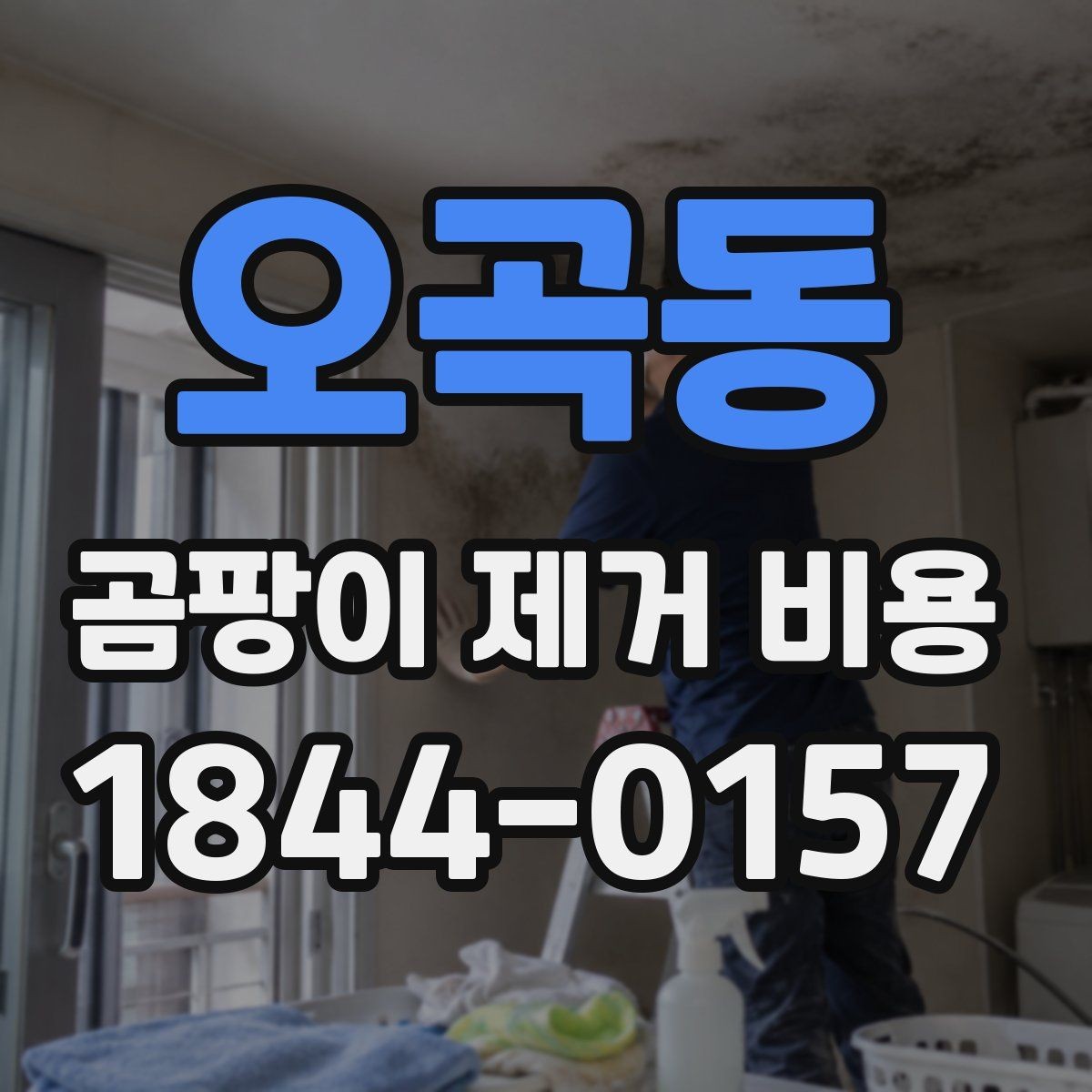 오곡동 곰팡이 제거 비용 문의할 때 업체에 꼭 물어볼 것