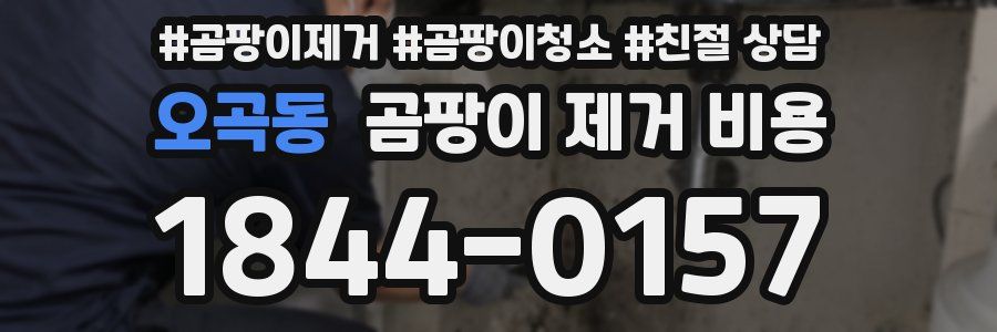 오곡동 곰팡이 제거 비용
