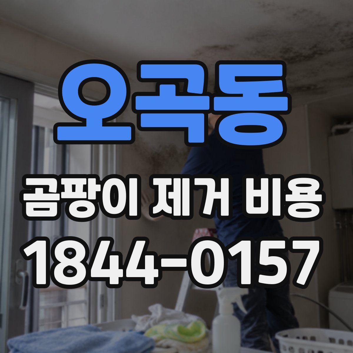 오곡동 곰팡이 제거 비용