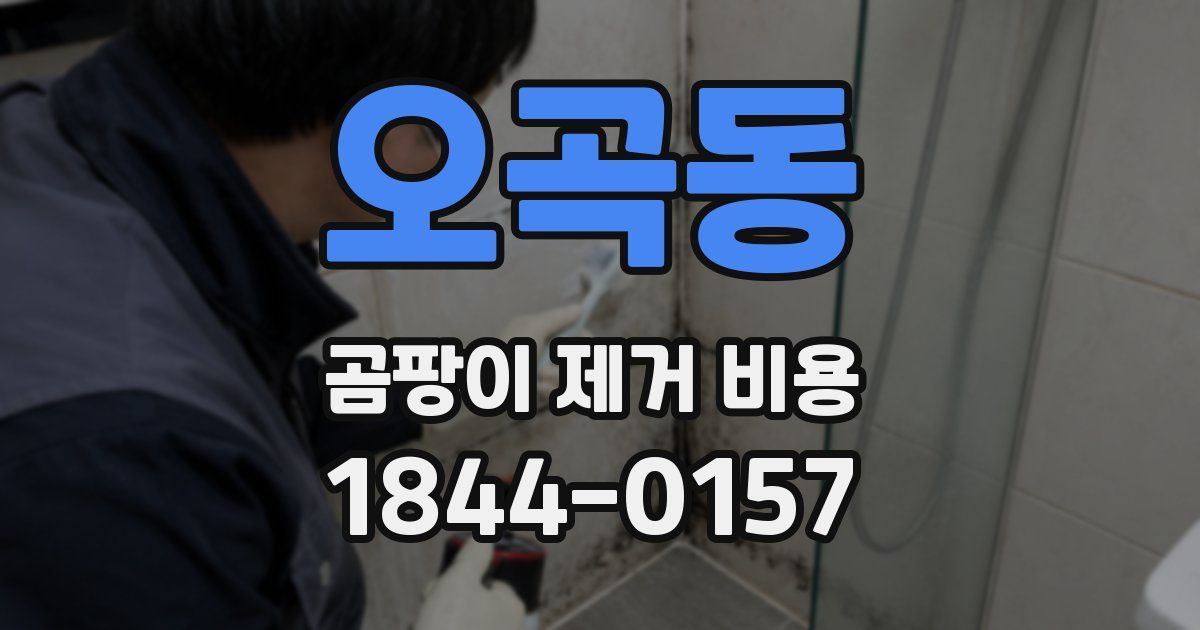 오곡동 곰팡이 제거 비용
