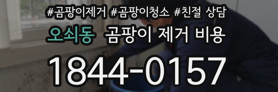 오쇠동 곰팡이 제거 비용