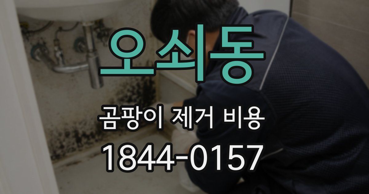 오쇠동 곰팡이 제거 비용
