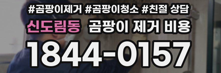 신도림동 곰팡이 제거 비용